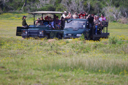 Kragga Kamma Game Park Hotel Port Elizabeth Luaran gambar