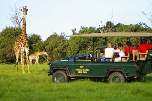 Kragga Kamma Game Park Hotel Port Elizabeth Luaran gambar